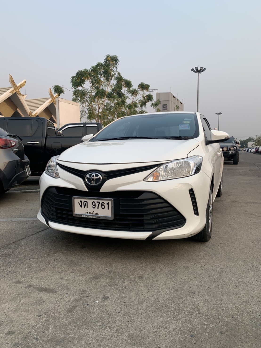 All new vios